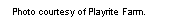 Text Box: Photo courtesy of Playrite Farm.  