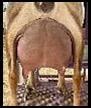 IMG_1280.jpeg