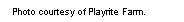 Text Box: Photo courtesy of Playrite Farm.  