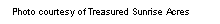 Text Box: Photo courtesy of Treasured Sunrise Acres