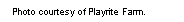 Text Box: Photo courtesy of Playrite Farm.  