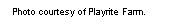 Text Box: Photo courtesy of Playrite Farm.  