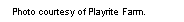 Text Box: Photo courtesy of Playrite Farm.  