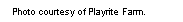 Text Box: Photo courtesy of Playrite Farm.  